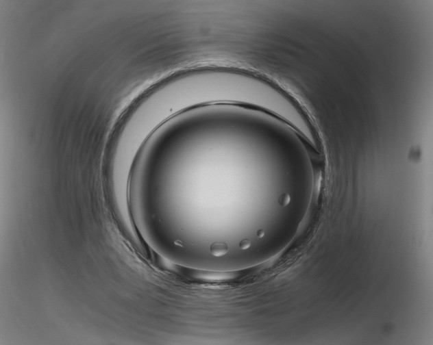 X0000116800391200912181322