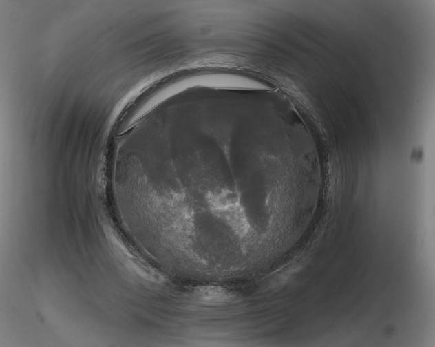 X0000116800392200912181322