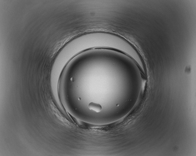 X0000116800393200912181322