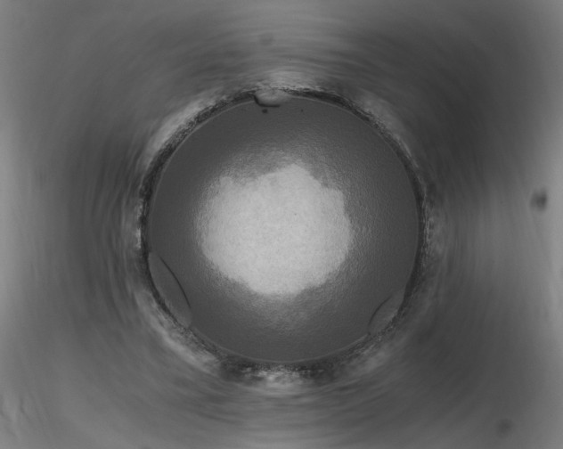 X0000116800395200912181322