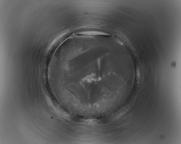 X0000116800396200912181322