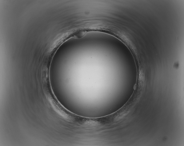 X0000116800397200912181322