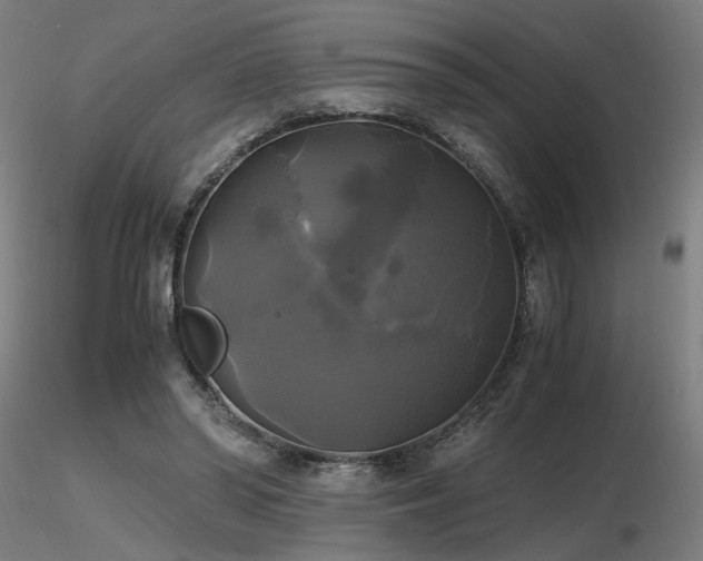 X0000116800398200912181322