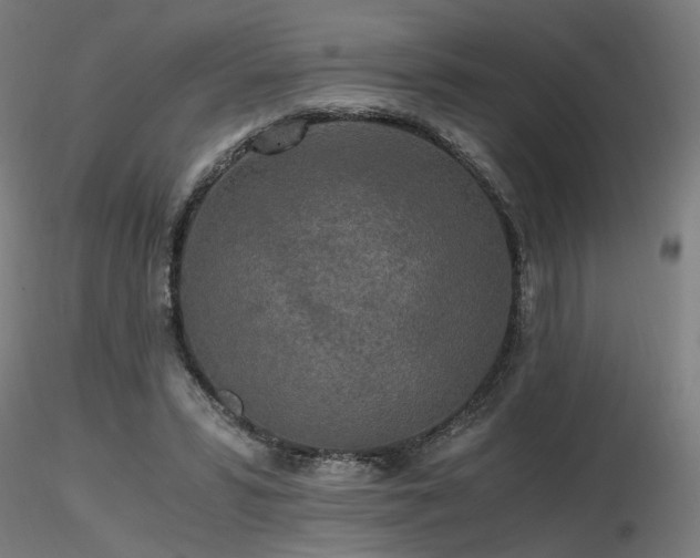 X0000116800399200912181322