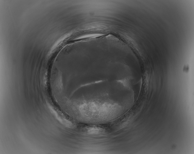 X0000116800400200912181322