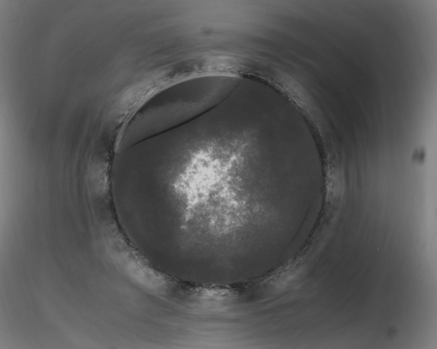 X0000116800401200912181322