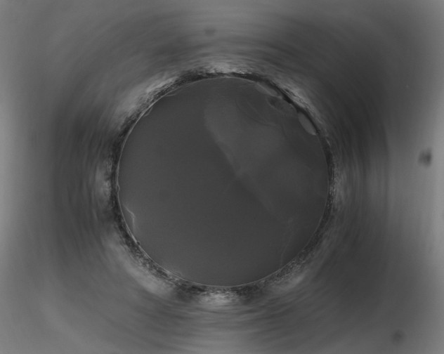 X0000116800402200912181322