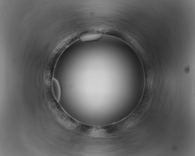 X0000116800403200912181322