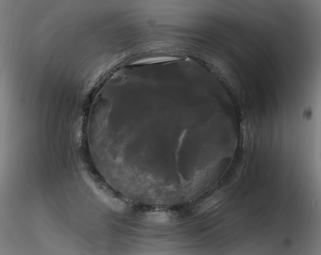 X0000116800404200912181322