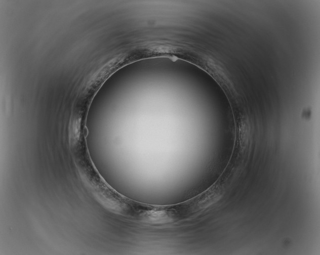 X0000116800406200912181322