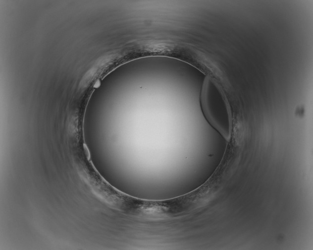 X0000116800407200912181322