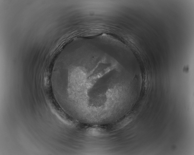 X0000116800408200912181322