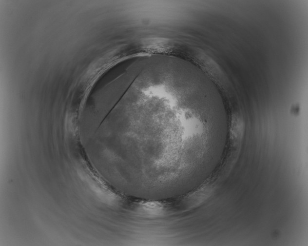 X0000116800409200912181322