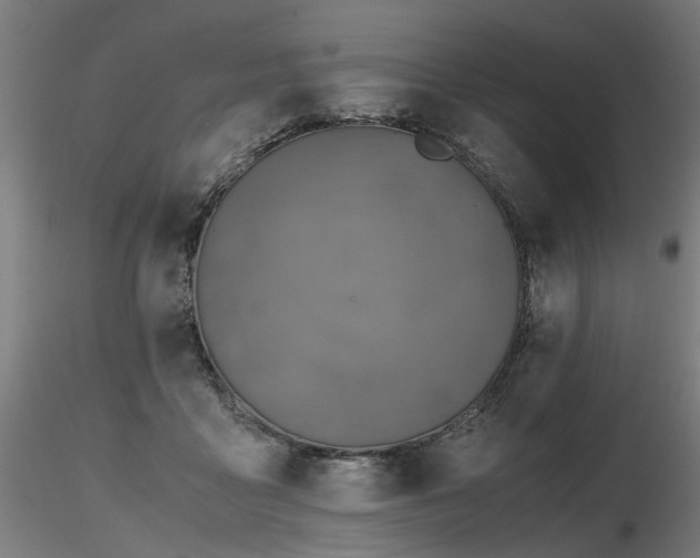 X0000116800411200912181322