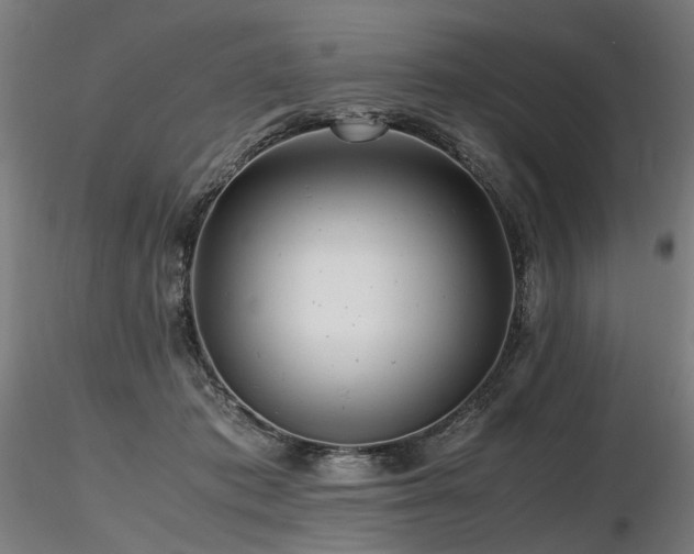 X0000116800413200912181322