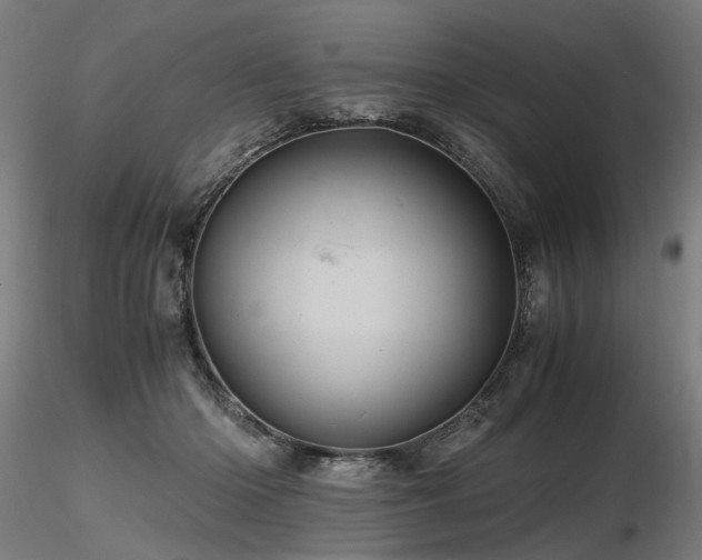 X0000116800414200912181322