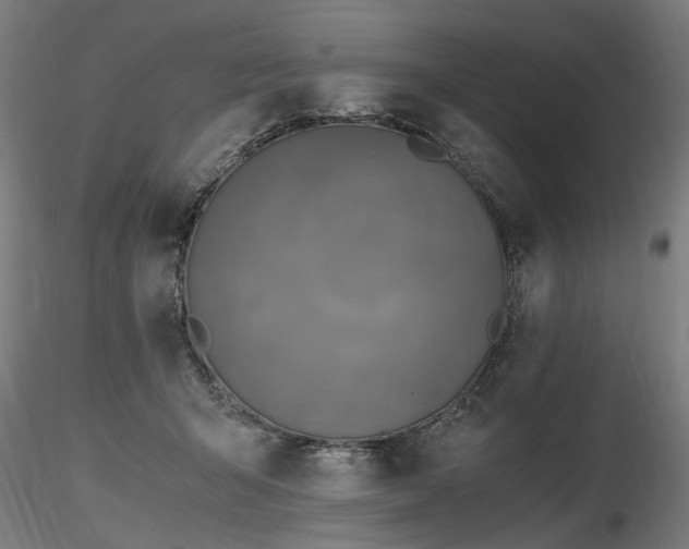 X0000116800415200912181322