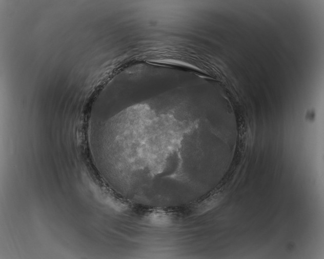 X0000116800416200912181322