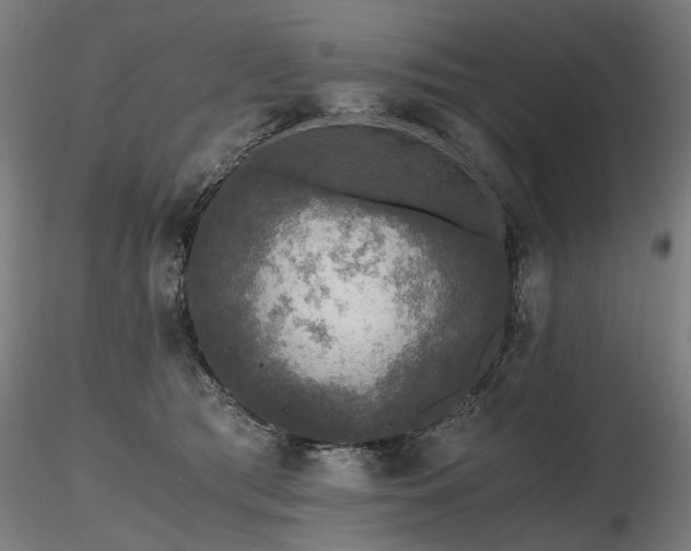 X0000116800417200912181322