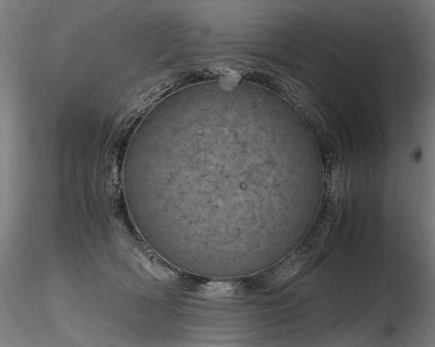 X0000116800418200912181322