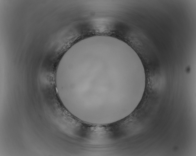 X0000116800419200912181322