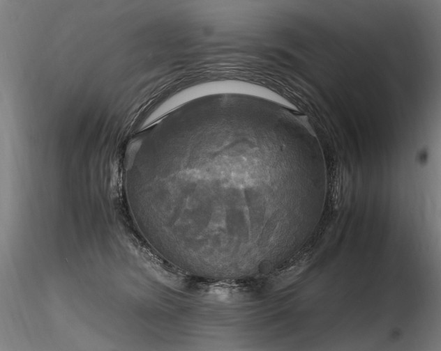 X0000116800420200912181322