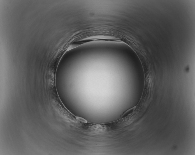 X0000116800421200912181322