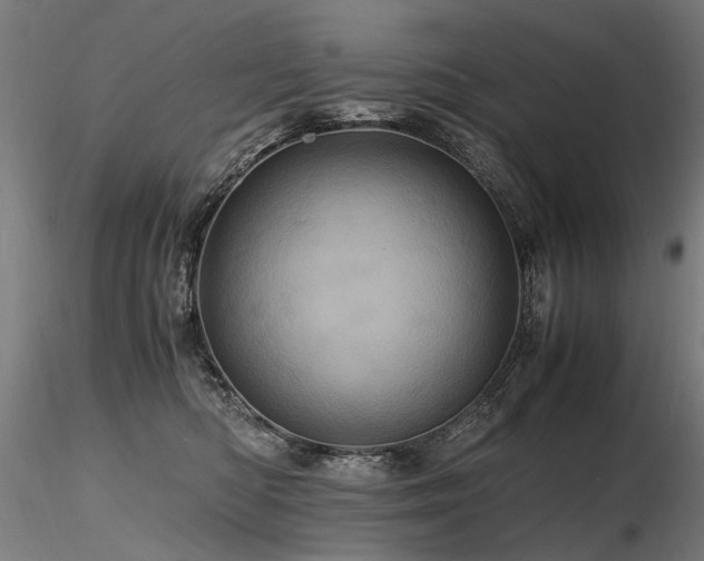 X0000116800422200912181322