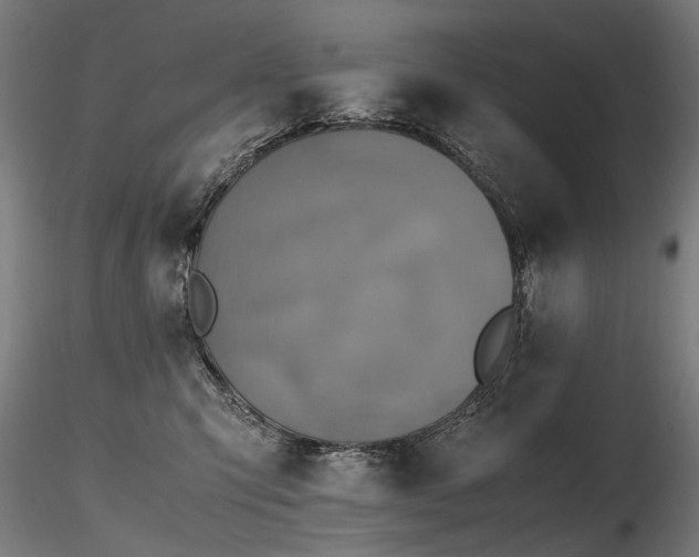 X0000116800423200912181322