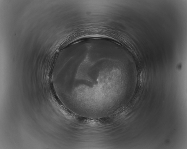 X0000116800424200912181322