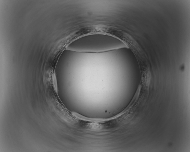 X0000116800425200912181322