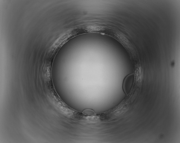 X0000116800426200912181322