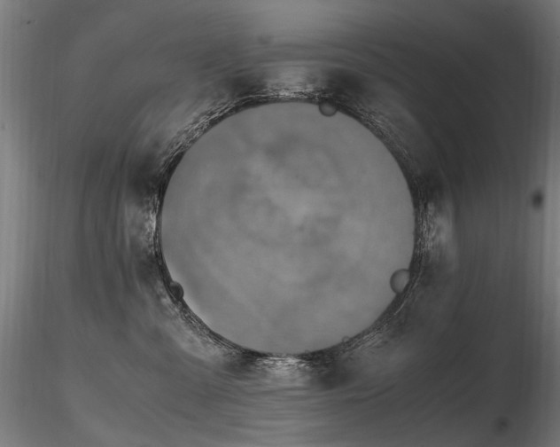 X0000116800427200912181322