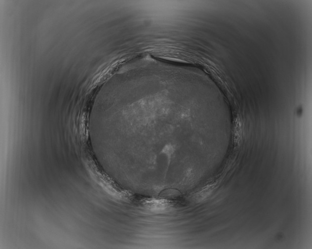 X0000116800428200912181322