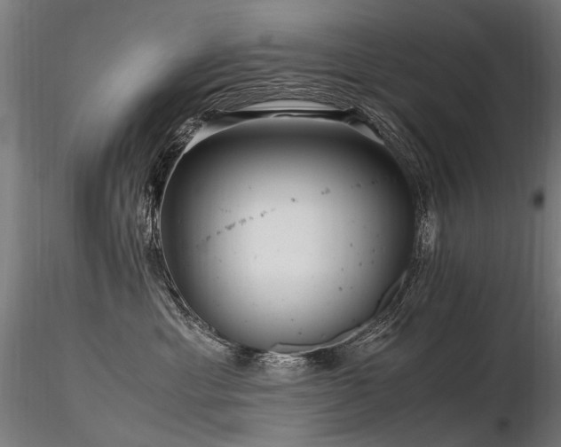 X0000116800429200912181322