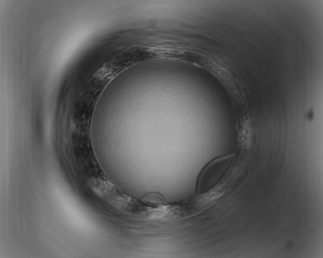 X0000116800430200912181322