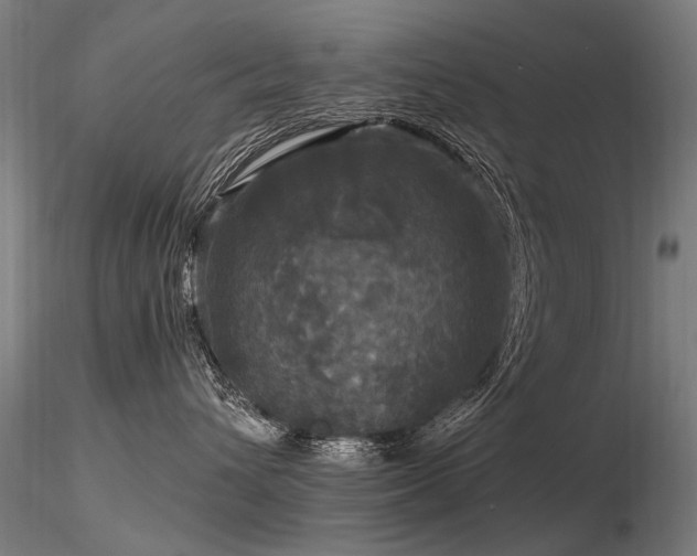 X0000116800432200912181322