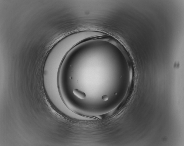 X0000116800433200912181321