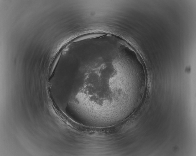 X0000116800434200912181321