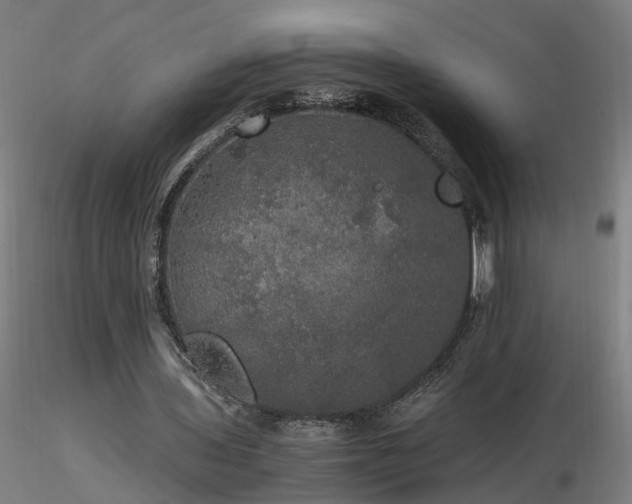 X0000116800435200912181321