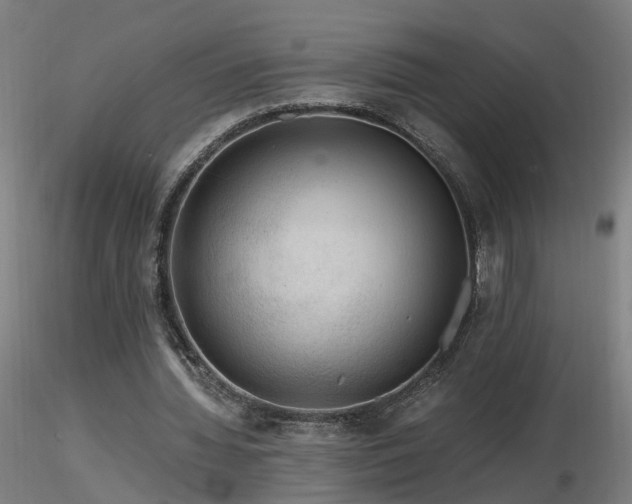X0000116800436200912181321