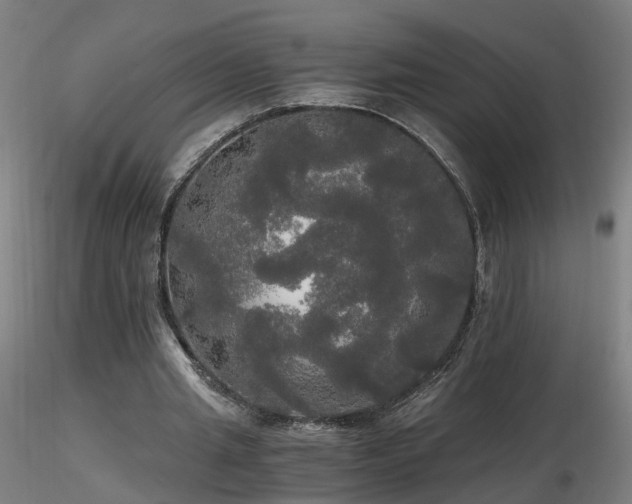 X0000116800437200912181321