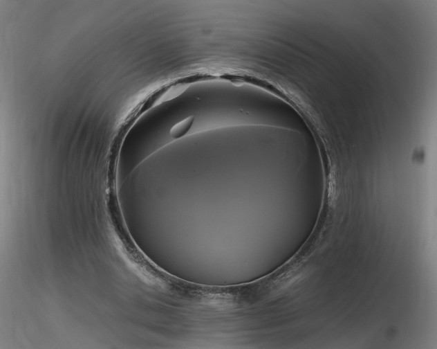 X0000116800438200912181321