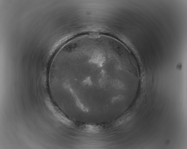 X0000116800442200912181321