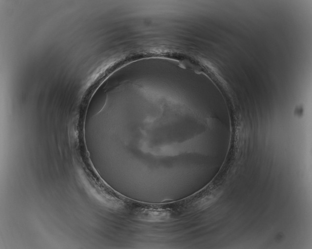 X0000116800443200912181321