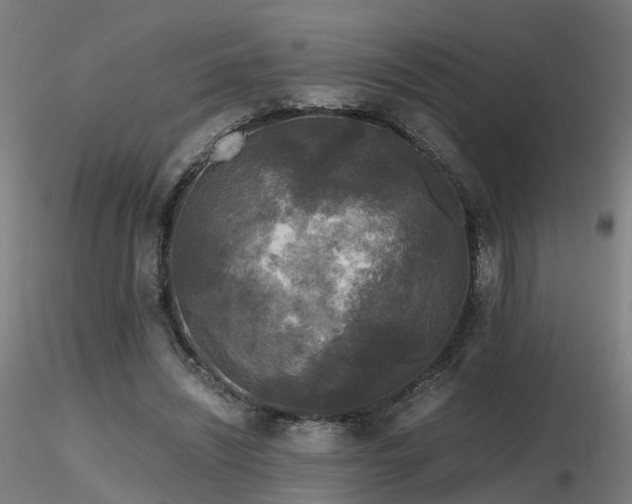 X0000116800444200912181321