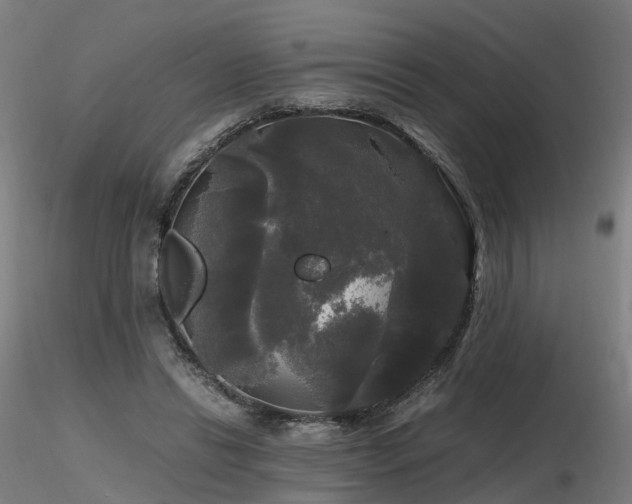 X0000116800446200912181321