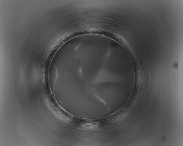 X0000116800447200912181321