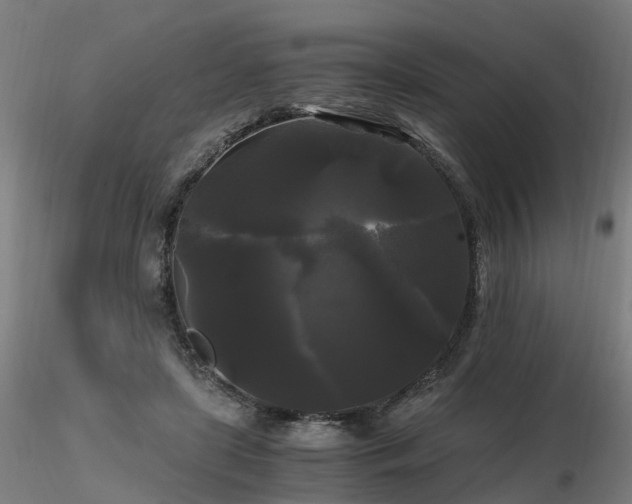X0000116800451200912181321