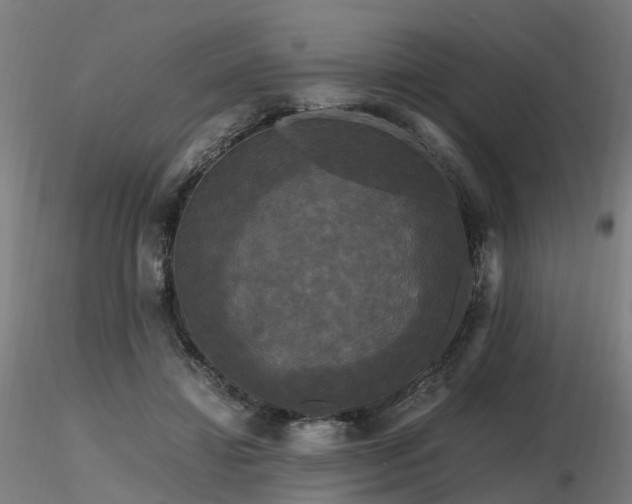 X0000116800452200912181321